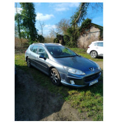 Arret de porte avant gauche PEUGEOT 407