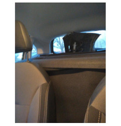 Malle/Hayon arriere CITROEN C3 2
