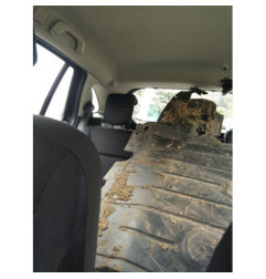 Poignee interieur arriere droit RENAULT CLIO 3