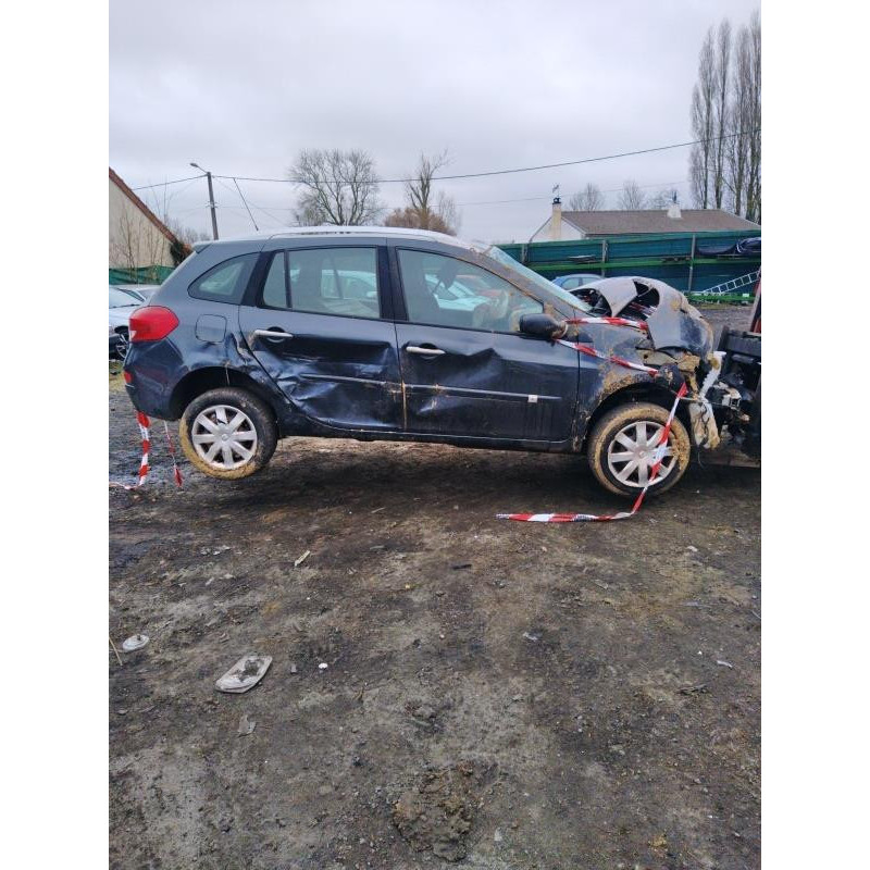 Poignee interieur arriere droit RENAULT CLIO 3 Photo n°18