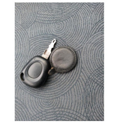 Bouton de warning RENAULT MEGANE 1