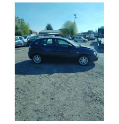 Porte arriere gauche SEAT IBIZA 3