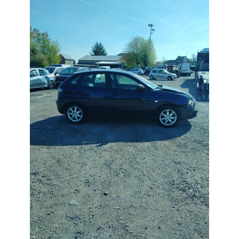 Porte avant gauche SEAT IBIZA 3 Photo n°12
