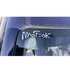 Porte avant gauche SEAT IBIZA 3