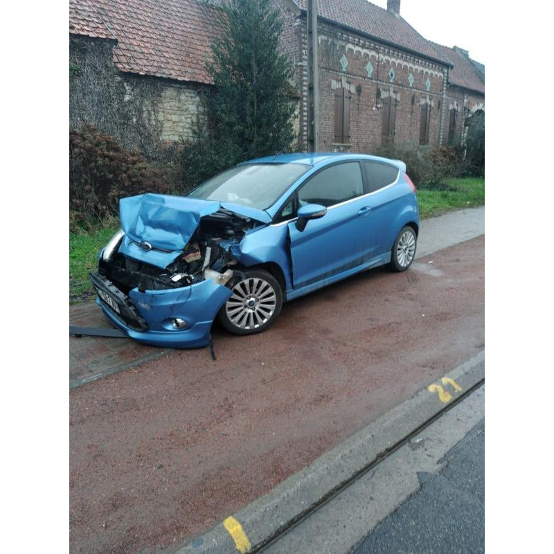 Custode arriere gauche FORD FIESTA 6 Photo n°8