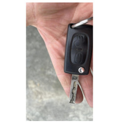 Bouton de warning PEUGEOT 5008 1