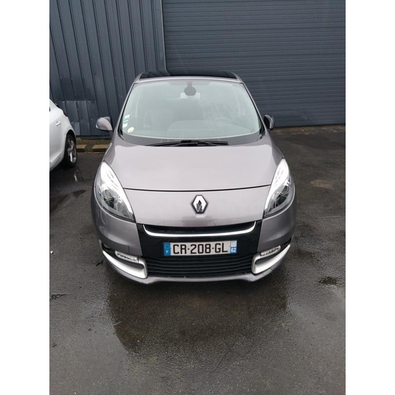 Custode arriere droit RENAULT SCENIC 3 Photo n°5