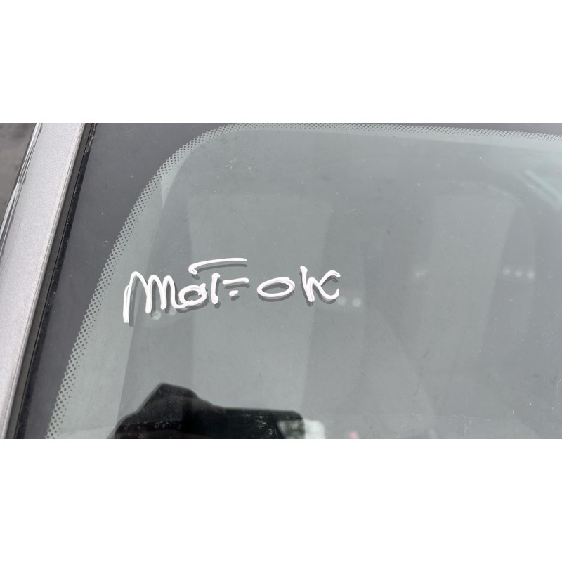 Eclairage de plafonnier RENAULT SCENIC 3 Photo n°4