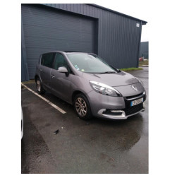 Eclairage de plafonnier RENAULT SCENIC 3
