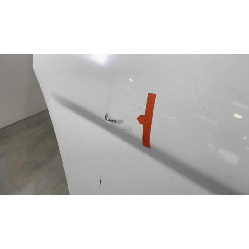 Porte avant gauche OPEL VIVARO 1 Photo n°6