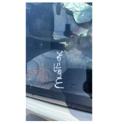 Pulseur d'air RENAULT TWINGO 1