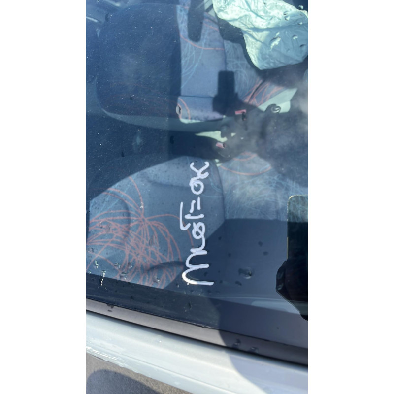 Pulseur d'air RENAULT TWINGO 1 Photo n°6
