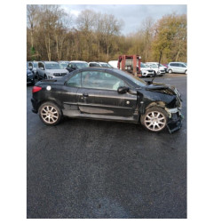 Porte avant droit PEUGEOT 206