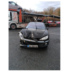 Porte avant droit PEUGEOT 206
