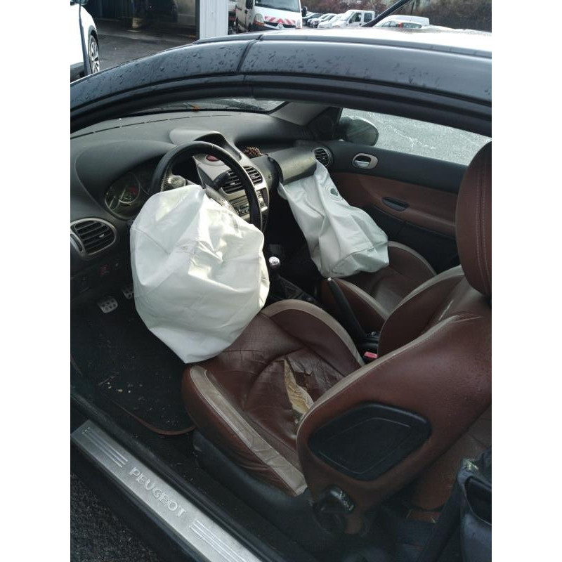 Porte avant droit PEUGEOT 206 Photo n°15