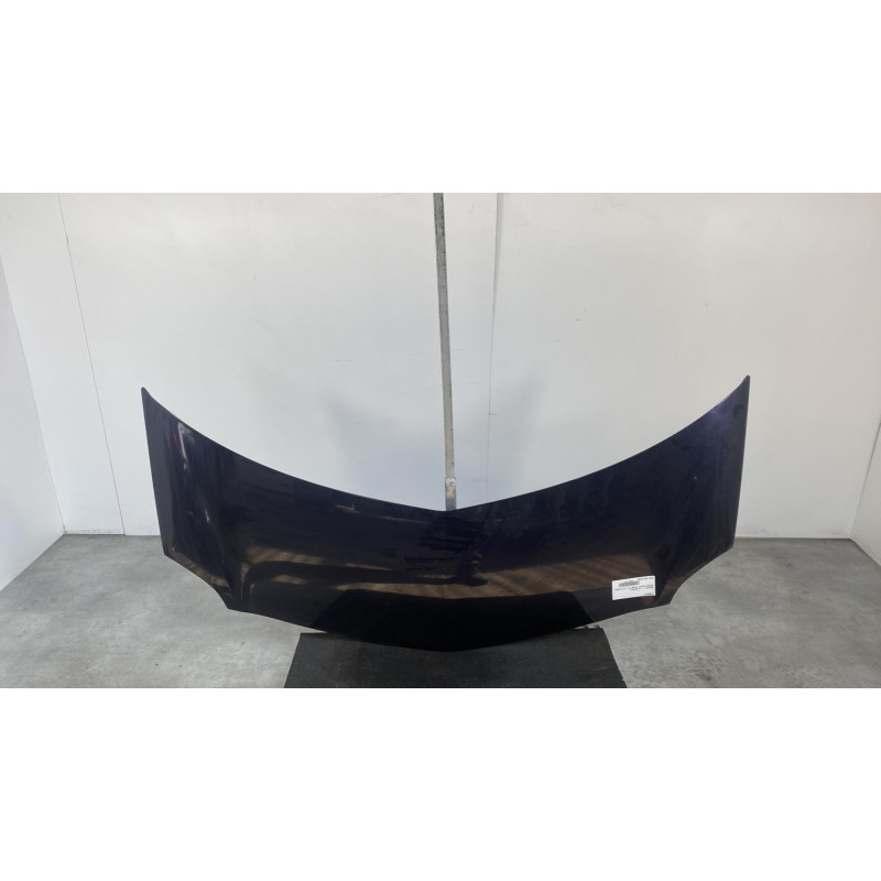 Capot RENAULT GRAND MODUS Photo n°6
