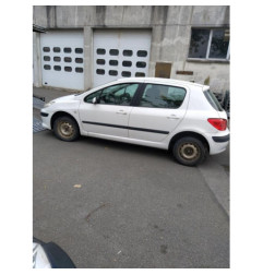 Capot PEUGEOT 307