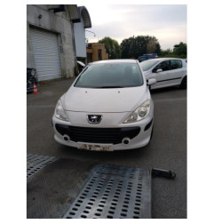 Capot PEUGEOT 307