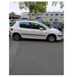 Capot PEUGEOT 307