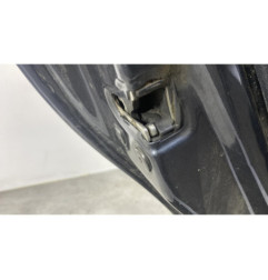 Porte arriere gauche DACIA SANDERO 1 Photo n°1