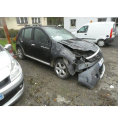 Porte arriere gauche DACIA SANDERO 1