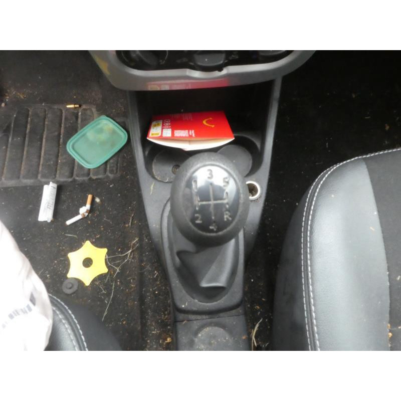 Porte arriere gauche DACIA SANDERO 1 Photo n°14