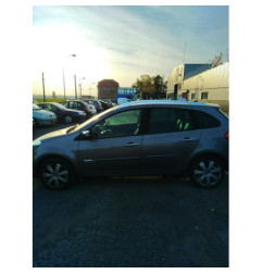 Porte arriere gauche RENAULT CLIO 3