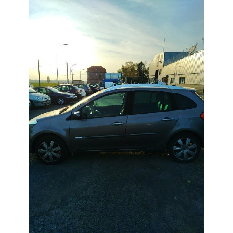 Porte arriere gauche RENAULT CLIO 3 Photo n°8