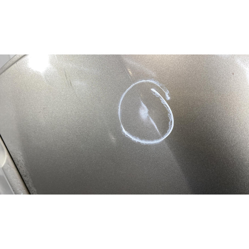Porte arriere gauche RENAULT CLIO 3 Photo n°1