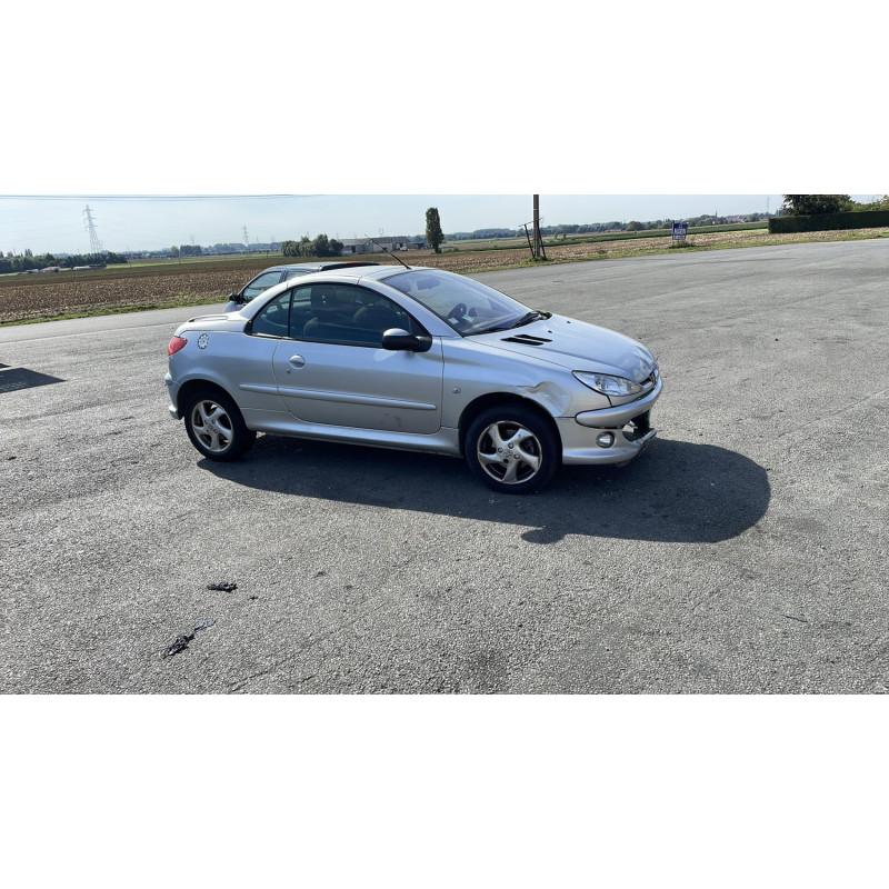 Pare soleil droit PEUGEOT 206 Photo n°4