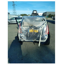 Porte arriere gauche CITROEN C3 1