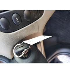 Porte arriere gauche CITROEN C3 1
