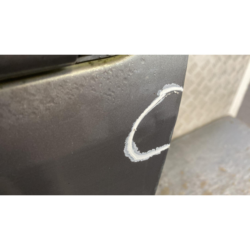 Porte avant gauche RENAULT MEGANE 2 Photo n°1