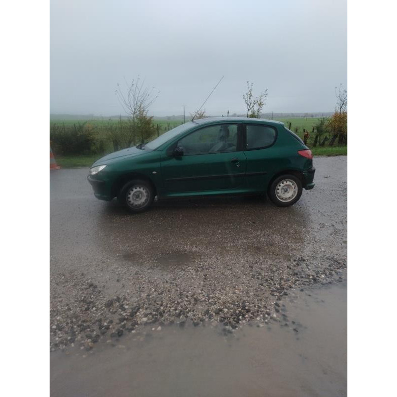 Neiman PEUGEOT 206 Photo n°16