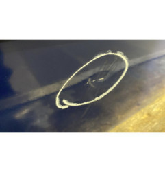Porte arriere droit RENAULT MEGANE 2