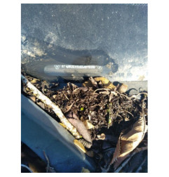 Calculateur moteur RENAULT SCENIC 2