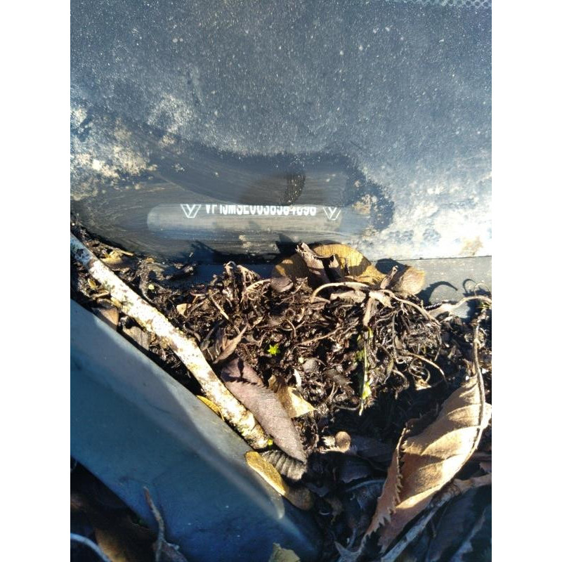 Calculateur moteur RENAULT SCENIC 2 Photo n°14