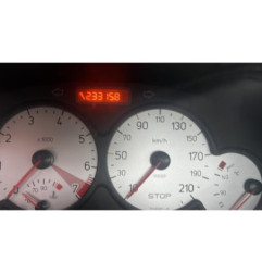 Porte avant gauche PEUGEOT 206