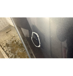 Porte arriere gauche RENAULT CLIO 3