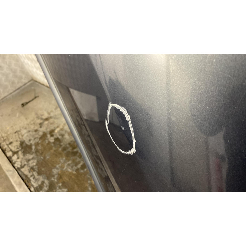 Porte arriere gauche RENAULT CLIO 3 Photo n°4