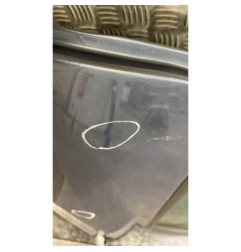 Porte arriere gauche RENAULT CLIO 3