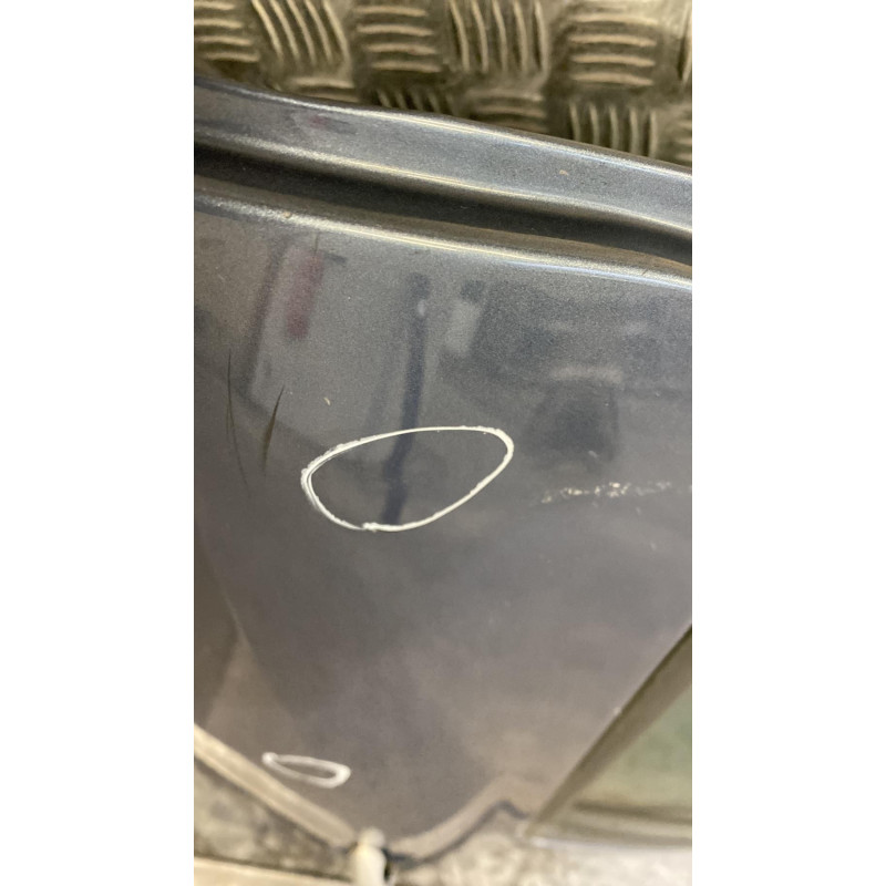 Porte arriere gauche RENAULT CLIO 3 Photo n°5