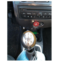 Porte arriere gauche RENAULT CLIO 3