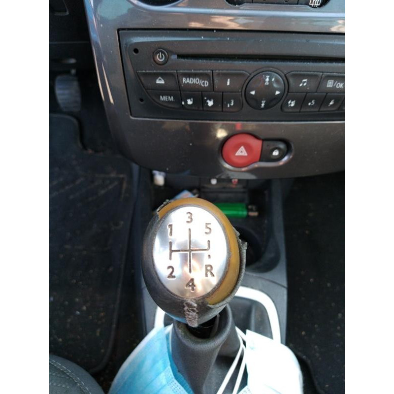 Porte arriere gauche RENAULT CLIO 3 Photo n°13