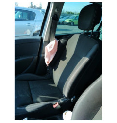 Porte arriere gauche RENAULT CLIO 3