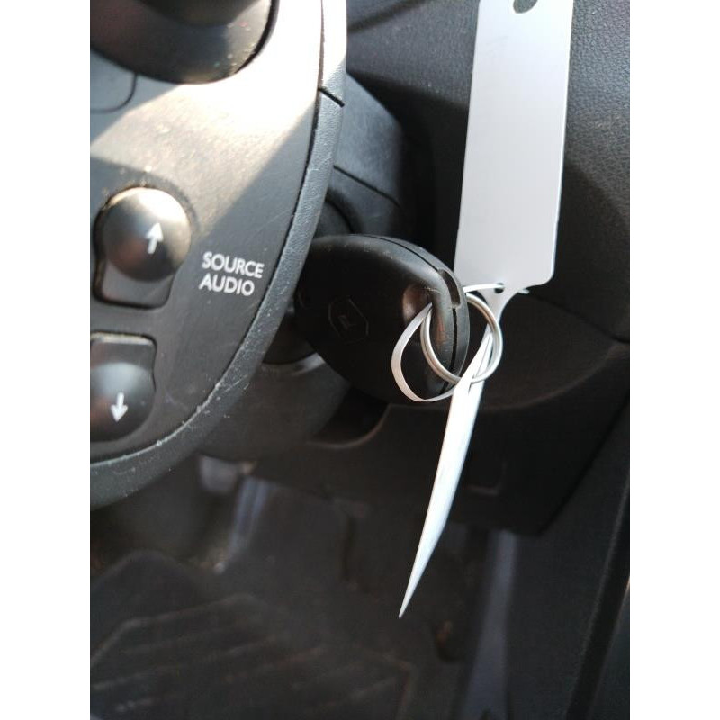 Porte arriere gauche RENAULT CLIO 3 Photo n°18