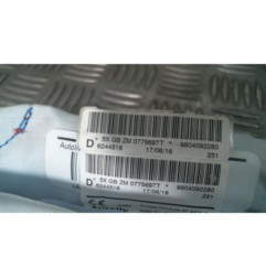 Air bag rideau droit PEUGEOT 2008 1 Photo n°1