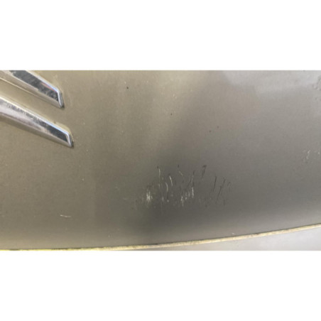 Malle/Hayon arriere CITROEN C4 PICASSO 1