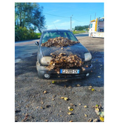Serrure avant droit RENAULT CLIO 2