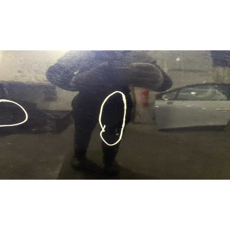 Porte arriere droit BMW SERIE 5 E61 Photo n°2